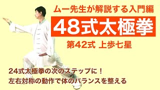 【入門】48式太極拳 第42式【動作解説】