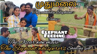 VLOG!! முதுமலை யானைகள் முகாம்||Elephant feeding Camp #mudhumalai #nilgiris #bestpicnicspot