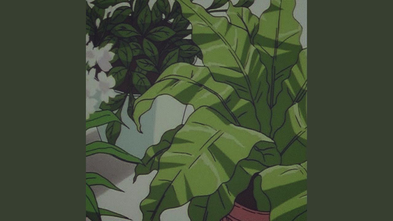 Plantas Youtube Music