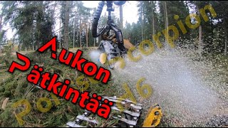 Ponsse Scorpion H6 Avohakkuulla tien varren toisella puolella