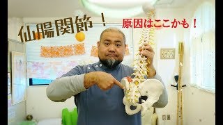 ゴルフ中級者｜腰痛｜朝起きるとき痛い｜仙腸関節｜藤枝市｜ふじえだ整体｜2018年10月19日