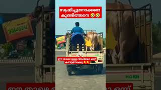 ഇയാൾക്ക് ഒരു നാണവുമില്ലേ..🤨🤨 #shorts #trending #keralacomedy #funny #comedy