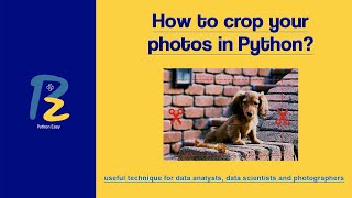 How to crop an image using Python?