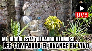 Les comparto los avances en mi Jardín