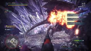 【MHW】40代おっさんの 歴戦クシャルダオラ4枠 ライトボウガンソロ　5'18\