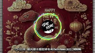 一只白羊 - 顺风顺水顺财神 DJ-MJ Electro Remix 2025 | SHEKONG