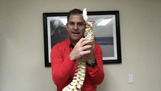 Chiropractor Branson | Neck Pain