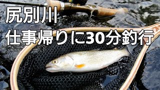 【ちょい釣り】仕事帰りのちょい釣り #１【イトウ】