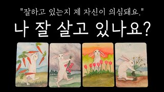 [타로카드] 나 잘 살고 있나요? 맞는 방향으로 걸어가고 있는 걸까? #행운타로 #행운 #타로카드