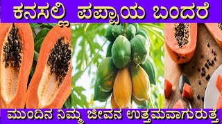 ಕನಸಿನಲ್ಲಿ ಪಪ್ಪಾಯ ಬಂದರೆ ಏನರ್ಥ ?| kanasinalli papaya bandare||