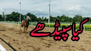 Horse Riding In Pakistan || Dangerous Horse Riding In Faisalabad || Horse Race