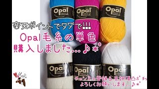 【タダでget...♪*ﾟ】はじめてのOpal毛糸の単色【2019年3月7日(木)】