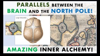 INNER ALCHEMY, Parallels Between EARTH and the BODY, Macrocosm Vs. Microcosm, The Brain & North Pole