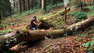 Man Builds SECRET SHELTER Inside Fallen Tree  Solo Survival