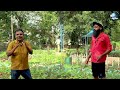 නුවර එලියේ එළවළු කොළඹ වවන තුඹයා organic vigitable farm in colombo by thumbaya aluthlokaya