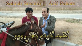 Gadah Ghano Khaee Wayo | Asif Pahore | Sohrab Soomro