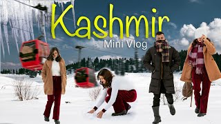 Kashmir - Minivlog