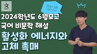 2024학년도 6모 국어 해설 - 활성화 에너지와 고체 촉매