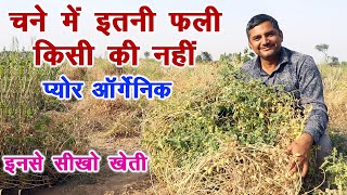 ऑर्गेनिक चने की सबसे ज्यादा पैदावार, इनसे सीखो खेती Real Organic Expert || Technical Farming