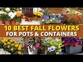 10 Best Fall Flowers for Pots and Containers 🍁🍃FALL GARDEN IDEAS 💕