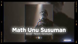 Zany Inzane - Math Unu Susuman | Slowed + Reverb | AstronautLk #slowedreverb #best