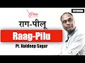 𝗥𝗔𝗔𝗚 PILU | राग पीलू  | 𝗕𝗘𝗚𝗜𝗡𝗡𝗘𝗥𝗦 | 𝗧𝗨𝗧𝗢𝗥𝗜𝗔𝗟 | 𝗣𝗧. 𝗞𝗨𝗟𝗗𝗘𝗘𝗣 𝗦𝗔𝗚𝗔𝗥| 𝗔𝗟𝗔𝗔𝗣 𝗠𝗨𝗦𝗜𝗖 𝗔𝗖𝗔𝗗𝗘𝗠𝗬.