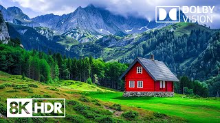 Unlock the Secrets of Nature’s Heart in 8K HDR Dolby Vision™