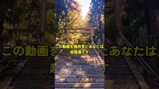 【超強運】遠隔参拝⛩️国宝仁科神明宮⛩️信州編