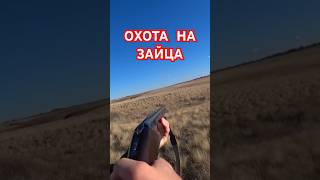 Ролик на канале!Охота на зайца.Чернотроп.Hare hunting.#охота #охотаназайца #чернотроп#hunter#hunting