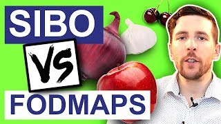 SIBO Treatment | Should You Avoid FODMAPS? | Whats The Best SIBO Diet?