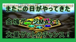 【アニモン】金塊ゲージMAX\u0026確定きた！こんどこそ！【アニマルモンスター】