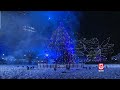 SEE IT! City lights official Christmas tree in Boston Common