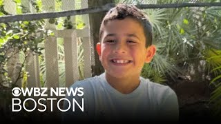Boy killed by falling tree at Massachusetts playground identified by family