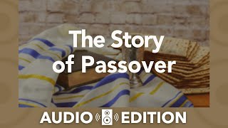 Seder | Passover