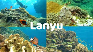 Snorkeling｜蘭嶼浮潛🐠｜陰天｜シュノーケリング｜台湾の離島｜Lanyu Island