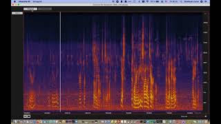 Absentia DX Birds Reducer
