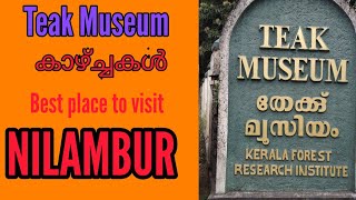 Teak Museum scenery at Nilambur / തേക്ക് മ്യൂസിയം നിലമ്പൂർ /MS life tips