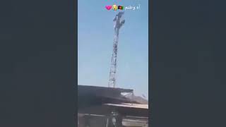 واکنش پرندگان!دیده میشود که پرنده ها نمی گذارند طالبان بیرق سه رنگ افغانستان را پایین کنند.