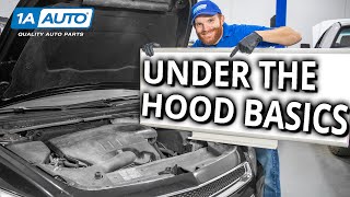 Under the Hood Basics! Learn About the Stuff Under Your Car's Hood!