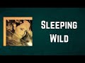 Norah Jones - Sleeping Wild (Lyrics)