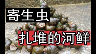 这5种食物含“寄生虫”最多，易患寄生虫病，大厨教你正确河鲜清洗烹饪方法