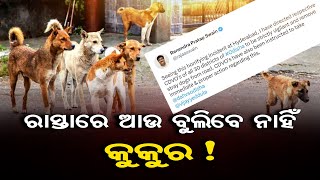 ରାସ୍ତାରେ ଆଉ ବୁଲିବେ ନାହିଁ କୁକୁର!  | Odisha Reporter