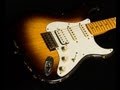 Fender Custom Shop Dealer Select Wildwood 