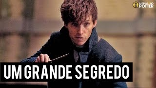 The THEORY about the SECRET that Dumbledore told to Newt!