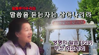 할렐루야우리집/말씀을 듣는자는 살아나리라[생명의 말씀 929번]/부산 화요성회(2023.9.12)