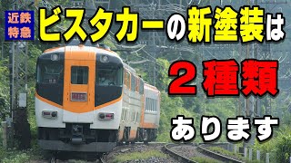 実は【２種類ある】近鉄【ビスタカー】の塗装パターン