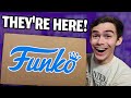 I Was Sent A Box Full Of Exclusive Funko Pops & Chases!