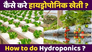 कैसे करे हायड्रोपोनिक खेती ? व्हर्टिकल फार्मिंग,Vertical Farming, Hydroponics, #shorts #hydroponics