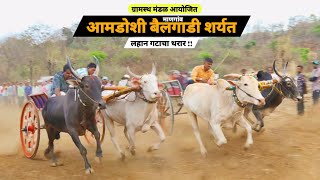 आमडोशी बैलगाडी शर्यत माणगांव|mangaon Bailgadi sharyat|Bailgada sharyat mangaon|Bailgada sharyat|naad