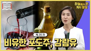 [초등 20과] 비유한 포도주, 감람유 Figurative Wine and Olive Oil ㅣ신천지 예수교회